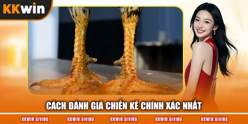 Cách đánh giá chiến kê chính xác nhất