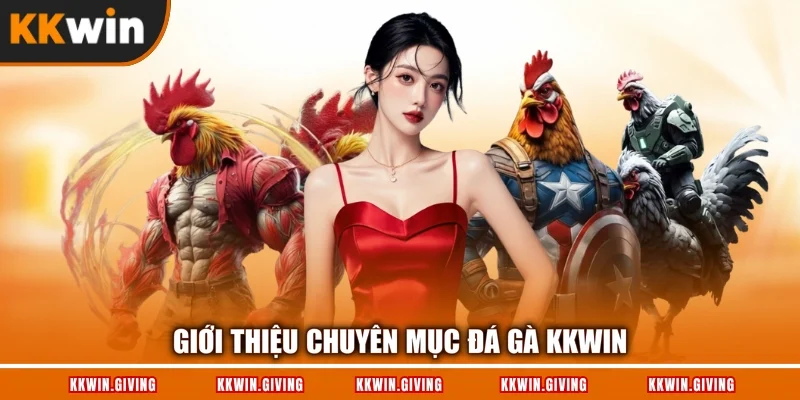 Giới thiệu chuyên mục đá gà KKWIN